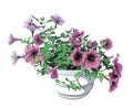 Pink and purple petunia flowers in a white pot